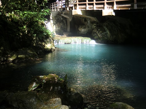 富山から山口県にある秋芳洞へ！日本の三大鍾乳洞の一つで有名